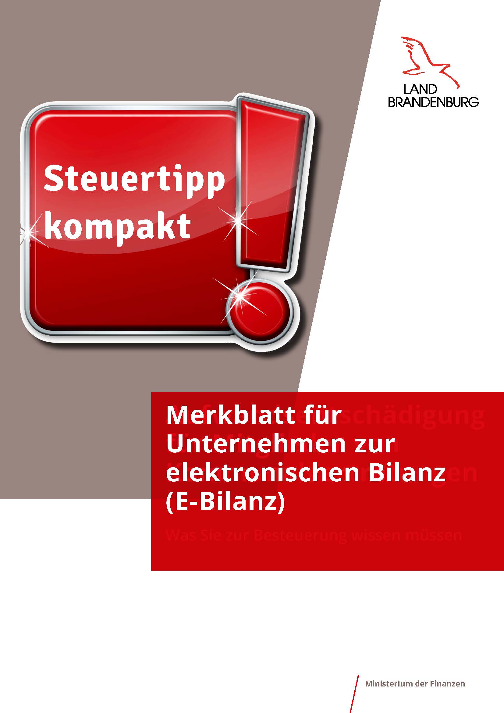 Bild vergrößern (Bild: Titelbild: Steuertipp zu E-Bilanz)